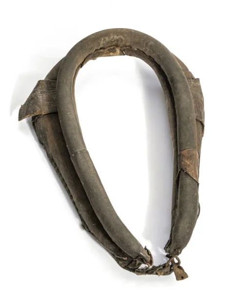 Horse Collar