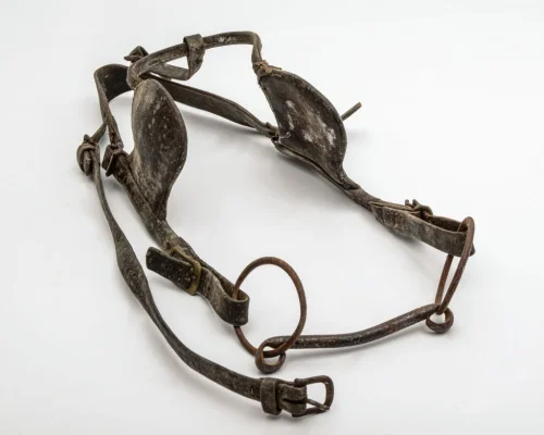 Bridles
