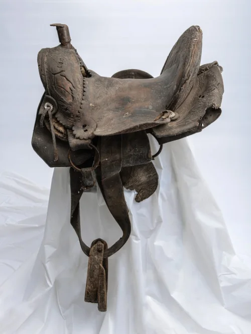 Saddle