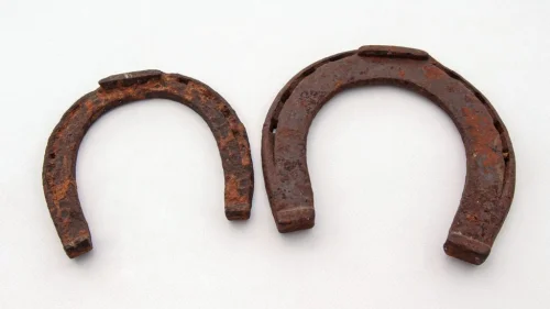 Horse Shoes