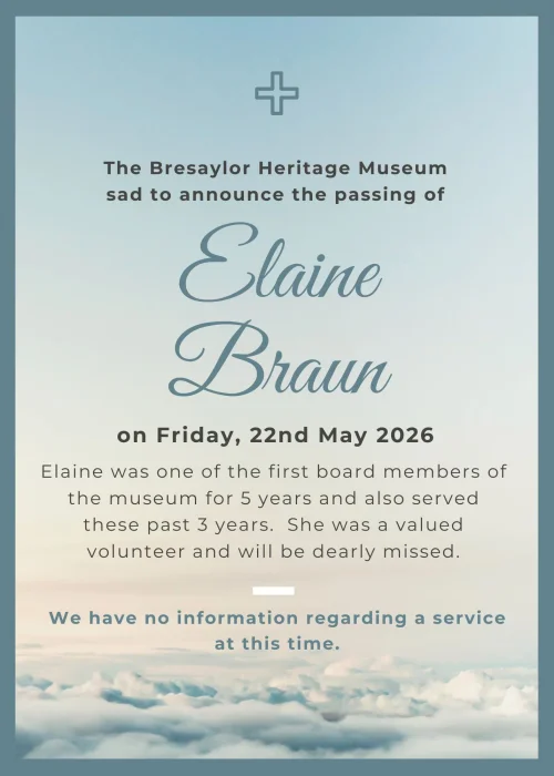 Elaine Braun
